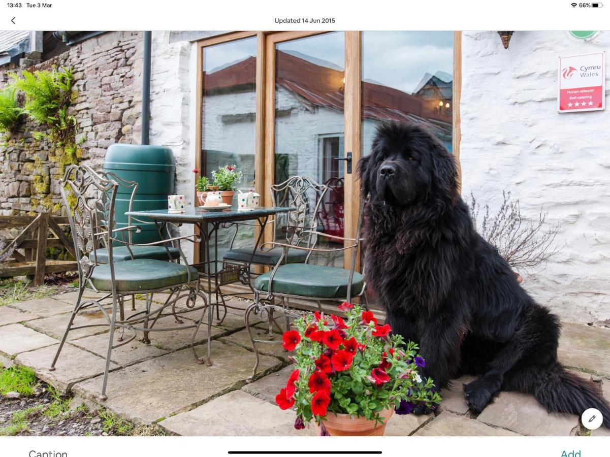 Ty Fferm Hen, Ancient Farmhouse, Coity Bach Talybont-on-Usk 外观 照片